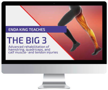 Tendinopathy & Muscle Injury Rehab