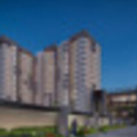 Profile picture of prestige southern star