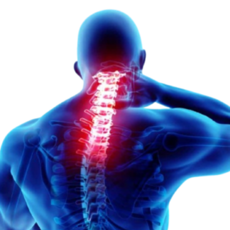 Profile picture of Buy Opana ER Online No-Delay Medicine Shipping
